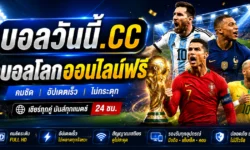 ดูบอลโลกออนไลน์ฟรี แบบคมชัด อัปเดตเร็ว พร้อมข่าวและบทวิเคราะห์ครบ