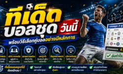 ทีเด็ดบอลชุดวันนี้ พร้อมวิธีเลือกคู่บอลอย่างมีหลักการ