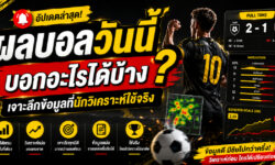 ผลบอลวันนี้ บอกอะไรได้บ้าง? เจาะลึกข้อมูลที่นักวิเคราะห์ใช้จริง