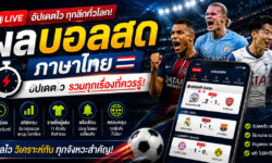 ผลบอลสดภาษาไทย อัปเดตไวแค่ไหน? รวมทุกเรื่องที่ควรรู้ก่อนติดตาม