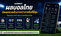 ผลบอลไทยวันนี้ สำคัญกว่าที่คิด อ่านผลการแข่งขันให้ได้มากกว่าแค่สกอร์