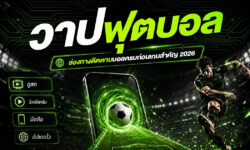 วาปฟุตบอล 2026 รวมช่องทางติดตามบอลครบก่อนเกมสำคัญ