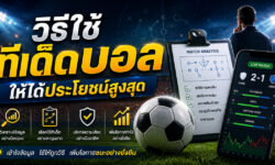วิธีใช้ทีเด็ดบอลให้ได้ประโยชน์สูงสุด พร้อมสิ่งที่ต้องรู้ก่อนตัดสินใจ