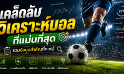 เคล็ดลับวิเคราะห์บอลที่แม่นที่สุด รวมข้อมูลสำคัญที่ควรรู้