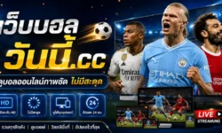 ดูบอลออนไลน์ภาพชัด สำคัญแค่ไหนสำหรับการวิเคราะห์ฟุตบอล?
