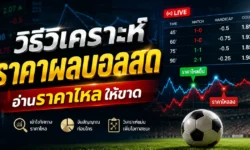 วิธีวิเคราะห์ราคาผลบอลสด อ่านราคาไหลให้ขาดก่อนตัดสินใจเดิมพัน