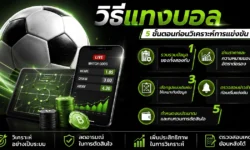 วิธีแทงบอล 5 ขั้นตอนที่ควรรู้ก่อนวิเคราะห์การแข่งขัน