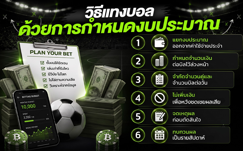 วางแผนงบประมาณก่อนตัดสินใจอย่างไร?
