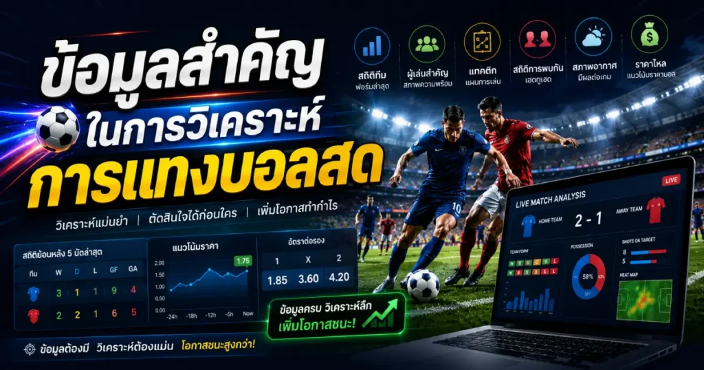 วิเคราะห์ข้อมูลอะไรบ้าง