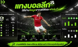 วิธีอ่านข้อมูลก่อนแทงบอลลีกจากสถิติและฟอร์มทีม