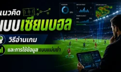 วิเคราะห์แนวคิดแบบเซียนบอล วิธีอ่านเกม และการใช้ข้อมูลให้แม่นยำก่อนตัดสินใจ