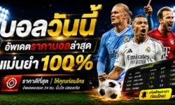 บอลวันนี้ อัพเดตราคาบอลล่าสุด แม่นยำ 100% ไม่มีล่าช้า