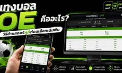 แทงบอล OE คืออะไร? วิธีอ่านสกอร์คู่คี่ก่อนเลือกเดิมพัน