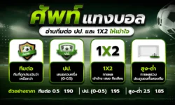 ศัพท์แทงบอล 2026: อ่านทีมต่อ ปป. และ 1X2 ให้เข้าใจ