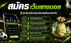 สมัครเว็บแทงบอล : 5 จุดต้องเช็กก่อนเปิดบัญชีและเดิมพัน