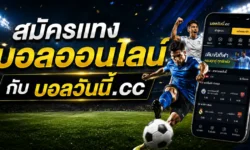 การสมัครแทงบอลออนไลน์กับบอลวันนี้.cc รวมข้อมูลวิเคราะห์บอล ราคาบอล และบอลสดในที่เดียว