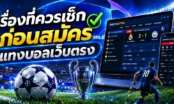 แทงบอลเว็บตรงต้องดูอะไร? เรื่องที่คนส่วนใหญ่มักเช็กช้าเกินไป