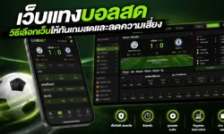 วิธีเลือกเว็บแทงบอลสดให้ทันเกมและลดความเสี่ยงปี 2026