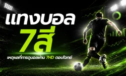 แทงบอล 7 สี 2026: เหตุผลที่การดูบอลผ่าน 7HD ตอบโจทย์