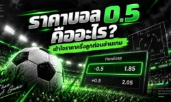 ราคาบอล 0.5 คืออะไร? เข้าใจราคาครึ่งลูกก่อนอ่านเกม