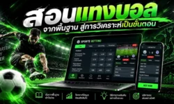 สอนแทงบอลจากพื้นฐาน สู่วิธีอ่านราคาและวิเคราะห์เป็นขั้นตอน