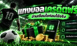 แทงบอลเครดิตฟรี ไม่ได้แปลว่าถอนได้ทันที ต้องอ่านเงื่อนไขก่อนใช้จริง